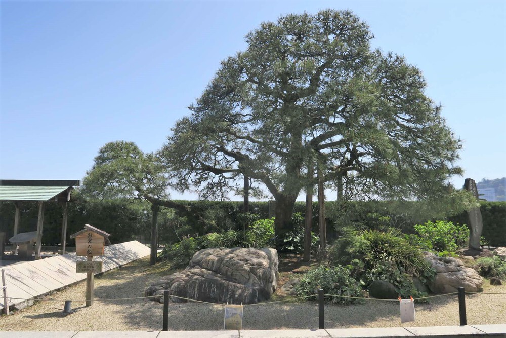 熱海駅から熱海港（初島ラン準備編）の写真4