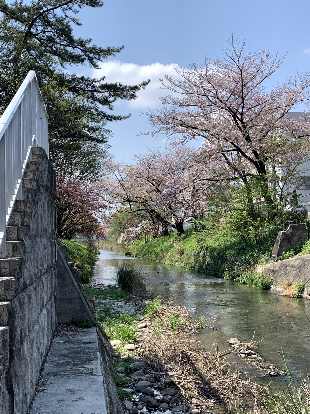 堀川走破； 庄内川～黒川～名城公園～錦橋～金山～白鳥公園～宮の渡し～名古屋港の写真3