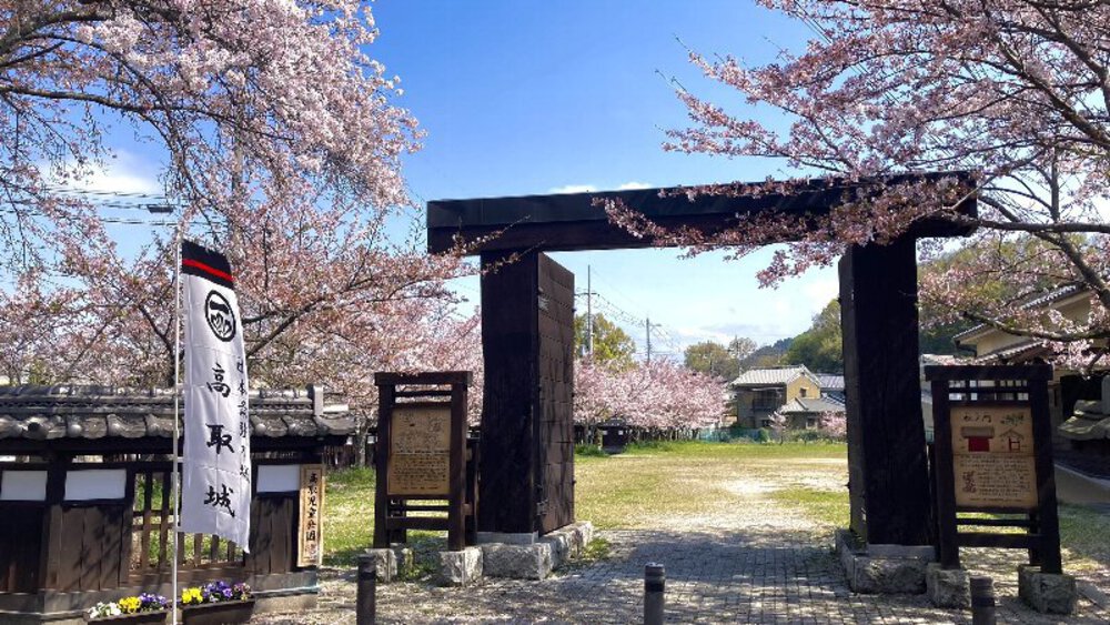 【桜の名所めぐり】forランナーの写真6