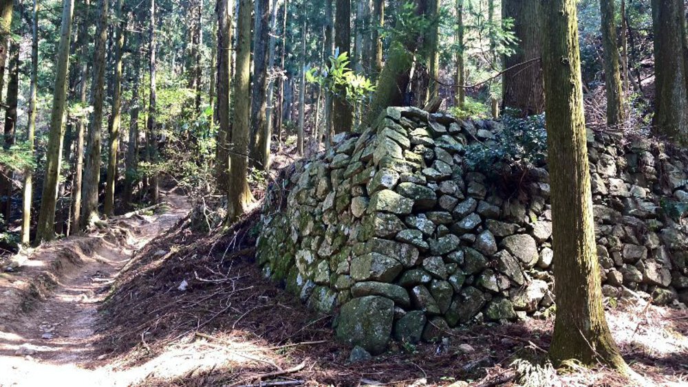 【桜の名所めぐり】forランナーの写真11