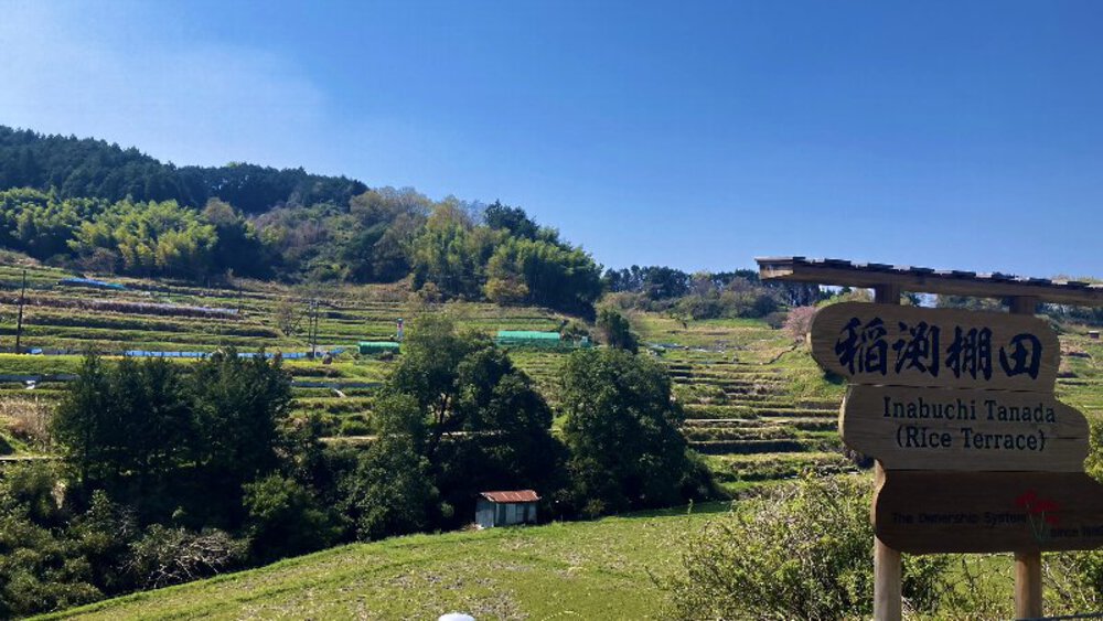 【桜の名所めぐり】forランナーの写真18