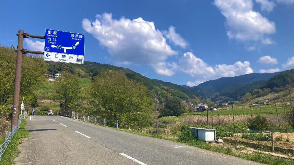 【桜の名所めぐり】forランナーの写真19