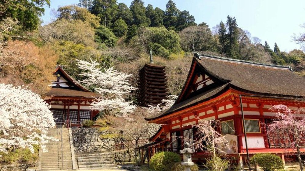 【桜の名所めぐり】forランナーの写真20