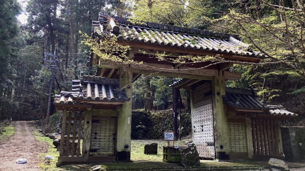 【桜の名所めぐり】forランナーの写真21