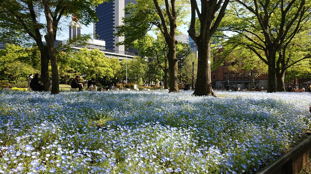 都内のチューリップの名所を巡る周回ジョグの写真6