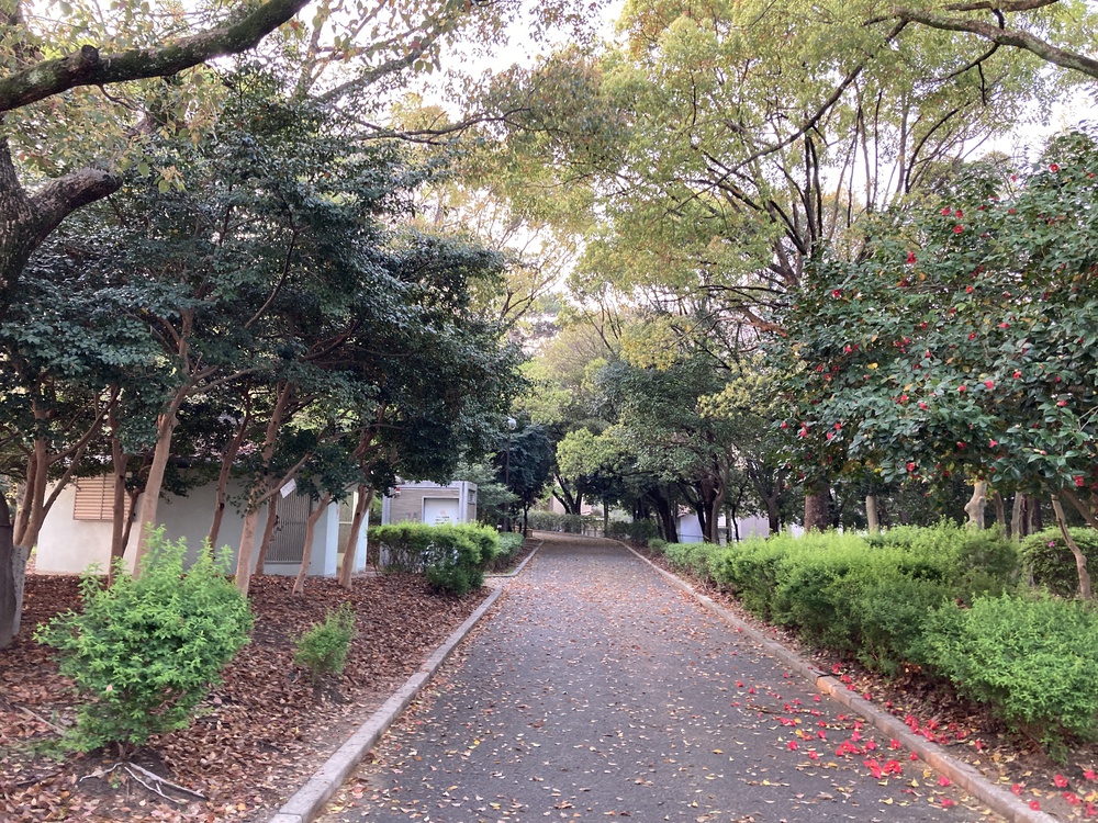 爽快♪昆陽池一周ラン【2km〜】野鳥のさえずりを聴きながらランの写真4