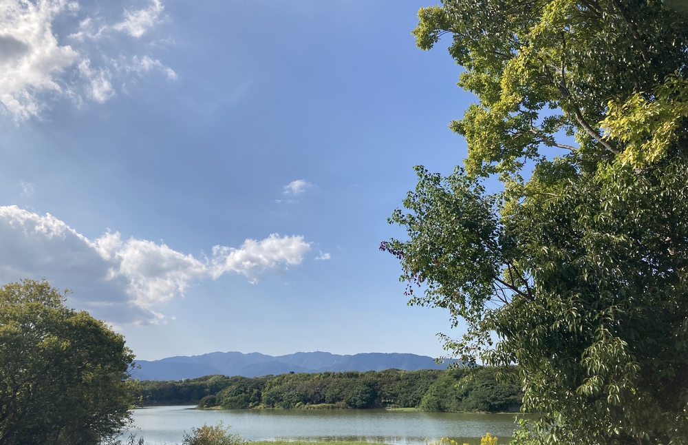 爽快♪昆陽池一周ラン【2km〜】野鳥のさえずりを聴きながらランの写真5