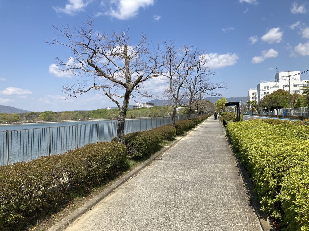 爽快♪昆陽池一周ラン【2km〜】野鳥のさえずりを聴きながらランの写真7