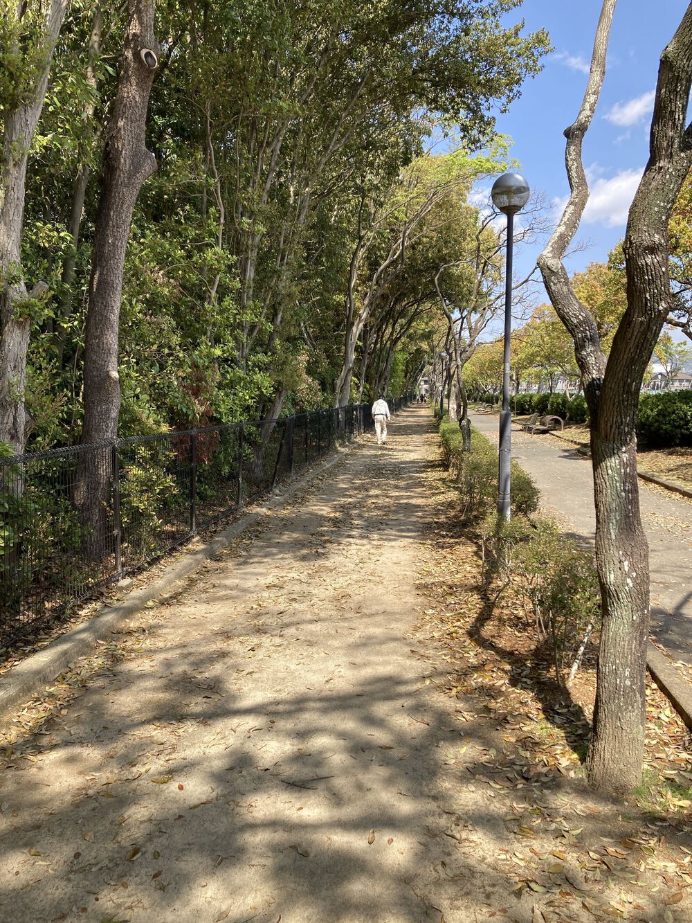 爽快♪昆陽池一周ラン【2km〜】野鳥のさえずりを聴きながらランの写真8
