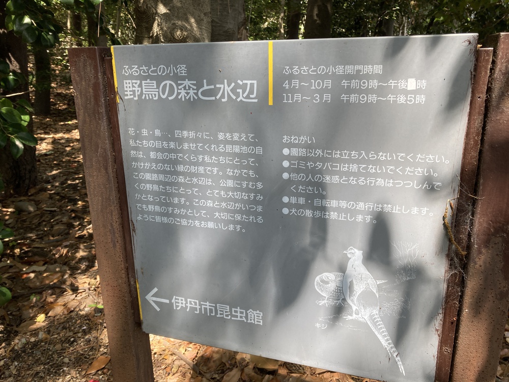 爽快♪昆陽池一周ラン【2km〜】野鳥のさえずりを聴きながらランの写真9