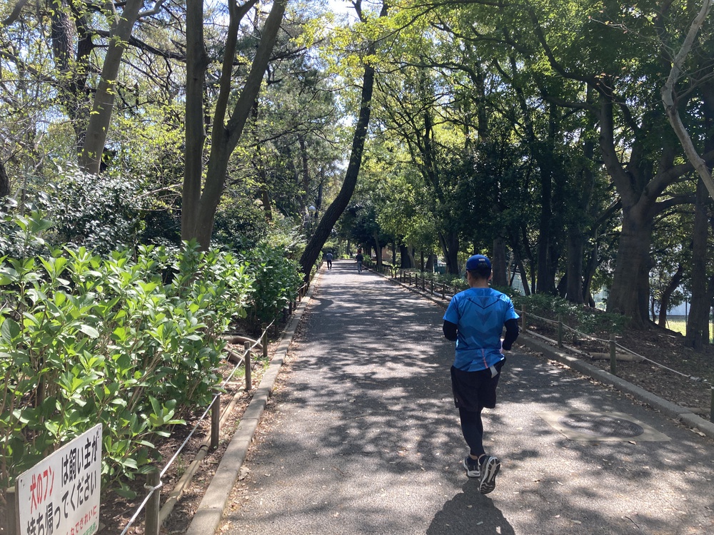 爽快♪昆陽池一周ラン【2km〜】野鳥のさえずりを聴きながらランの写真11