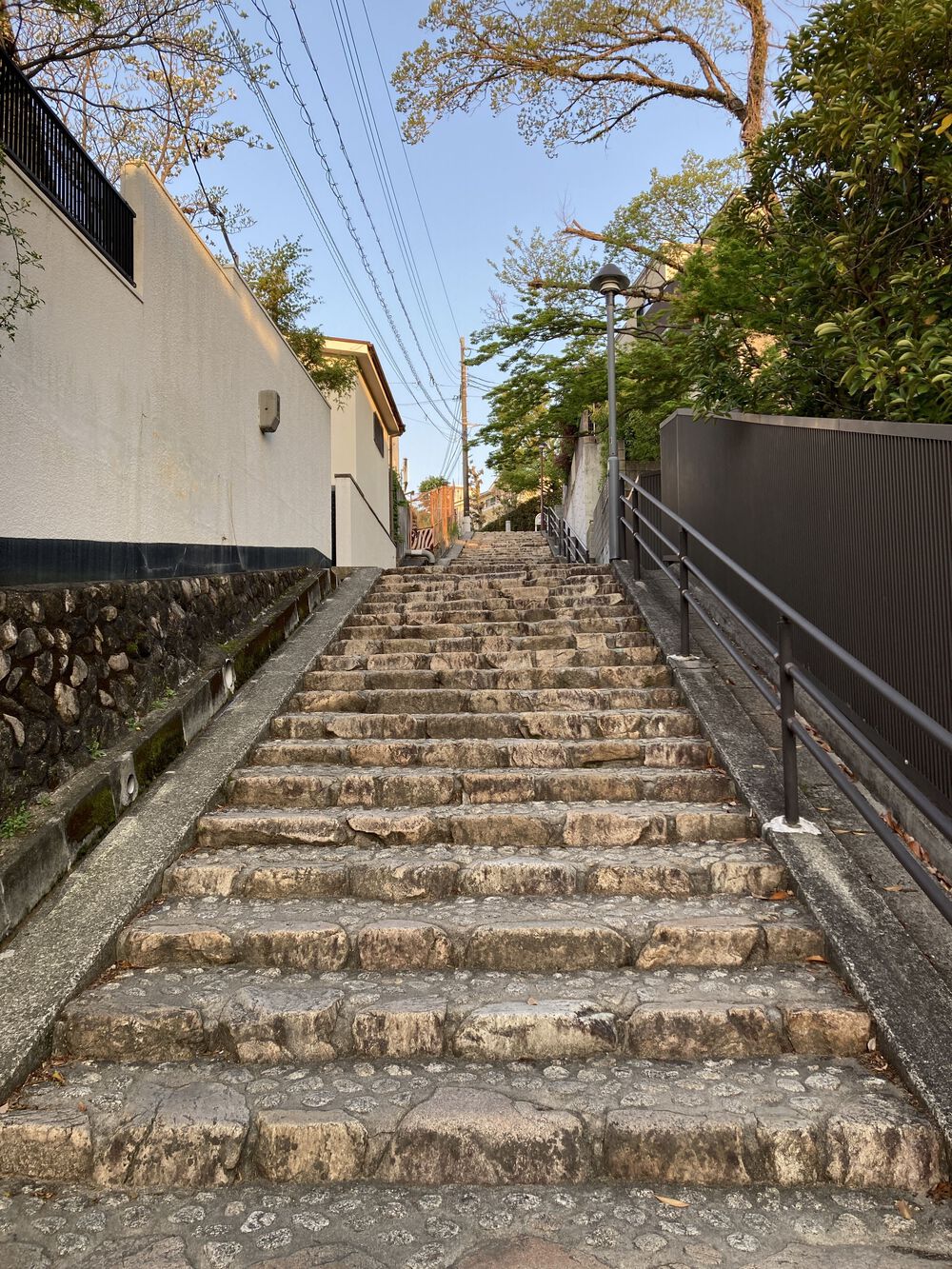 快感♪東六甲横断ランニング【12km】武庫川〜甲山〜芦屋川の写真5