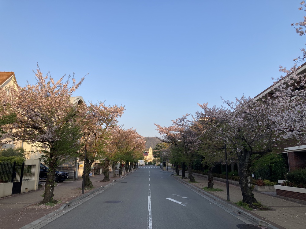快感♪東六甲横断ランニング【12km】武庫川〜甲山〜芦屋川の写真6