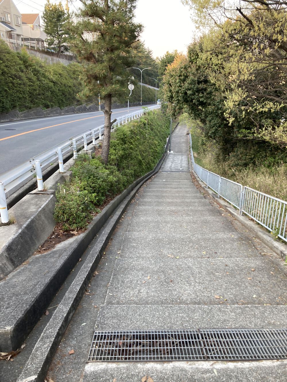 快感♪東六甲横断ランニング【12km】武庫川〜甲山〜芦屋川の写真9