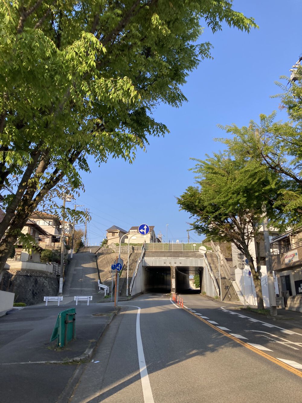 快感♪東六甲横断ランニング【12km】武庫川〜甲山〜芦屋川の写真12