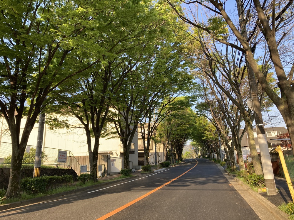 快感♪東六甲横断ランニング【12km】武庫川〜甲山〜芦屋川の写真14