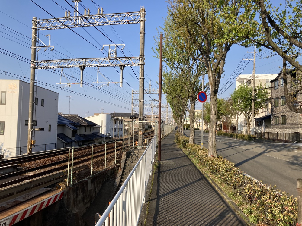 快感♪東六甲横断ランニング【12km】武庫川〜甲山〜芦屋川の写真15