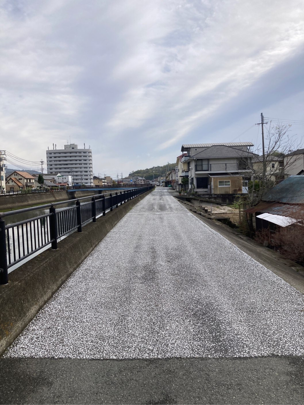 相生市、マックスバリュ〜双葉小ランニングの写真4