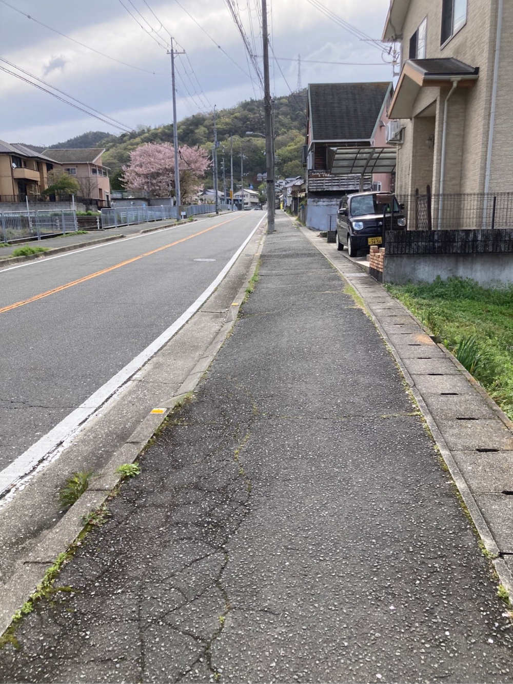 相生市、マックスバリュ〜双葉小ランニングの写真8