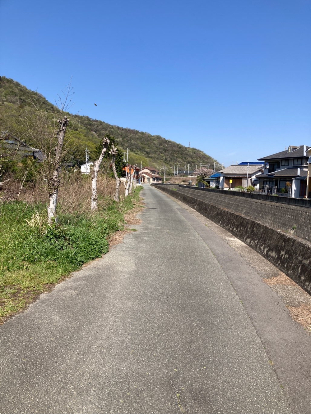 相生・道の駅ペーロン城〜芋谷川沿〜国道2号線脇の小道の写真6