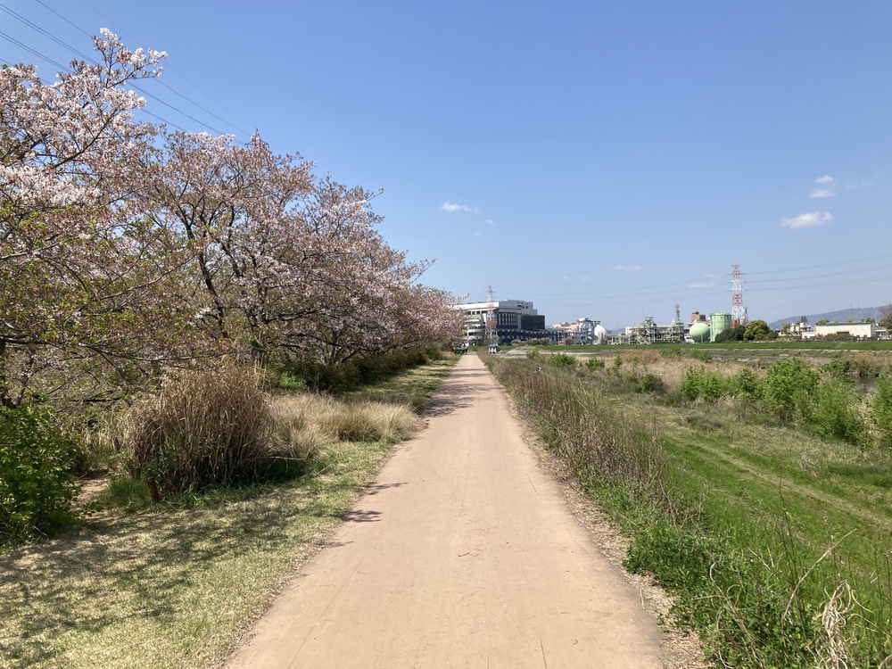 のんびり猪名川周遊♪河川敷コース【10ｋｍ】阪急園田駅の写真5