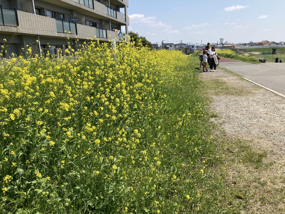 のんびり猪名川周遊♪河川敷コース【10ｋｍ】阪急園田駅の写真12