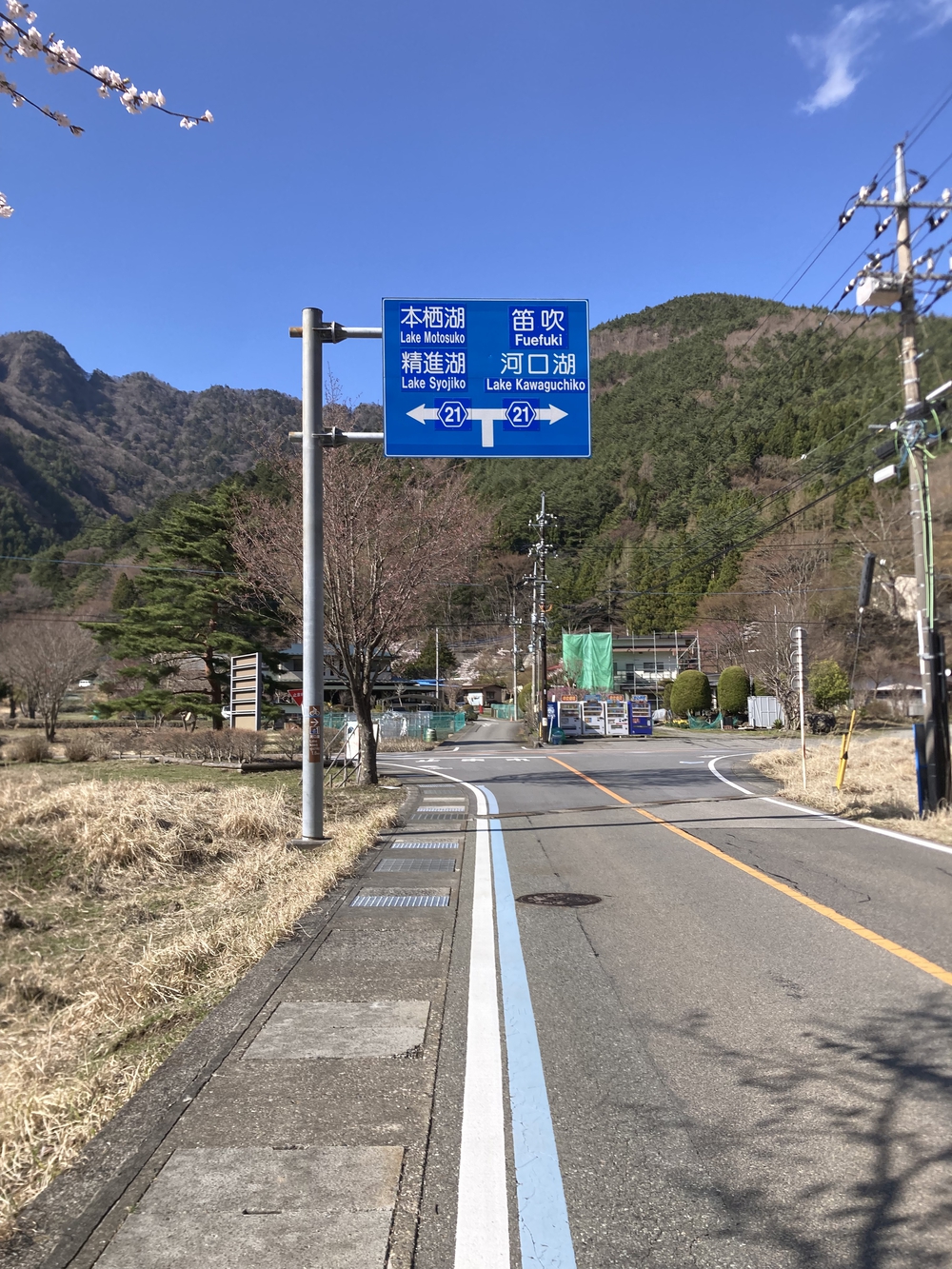 富士五湖の１つ、西湖の湖畔をぐるりと一周！西湖畔ランニング！の写真4