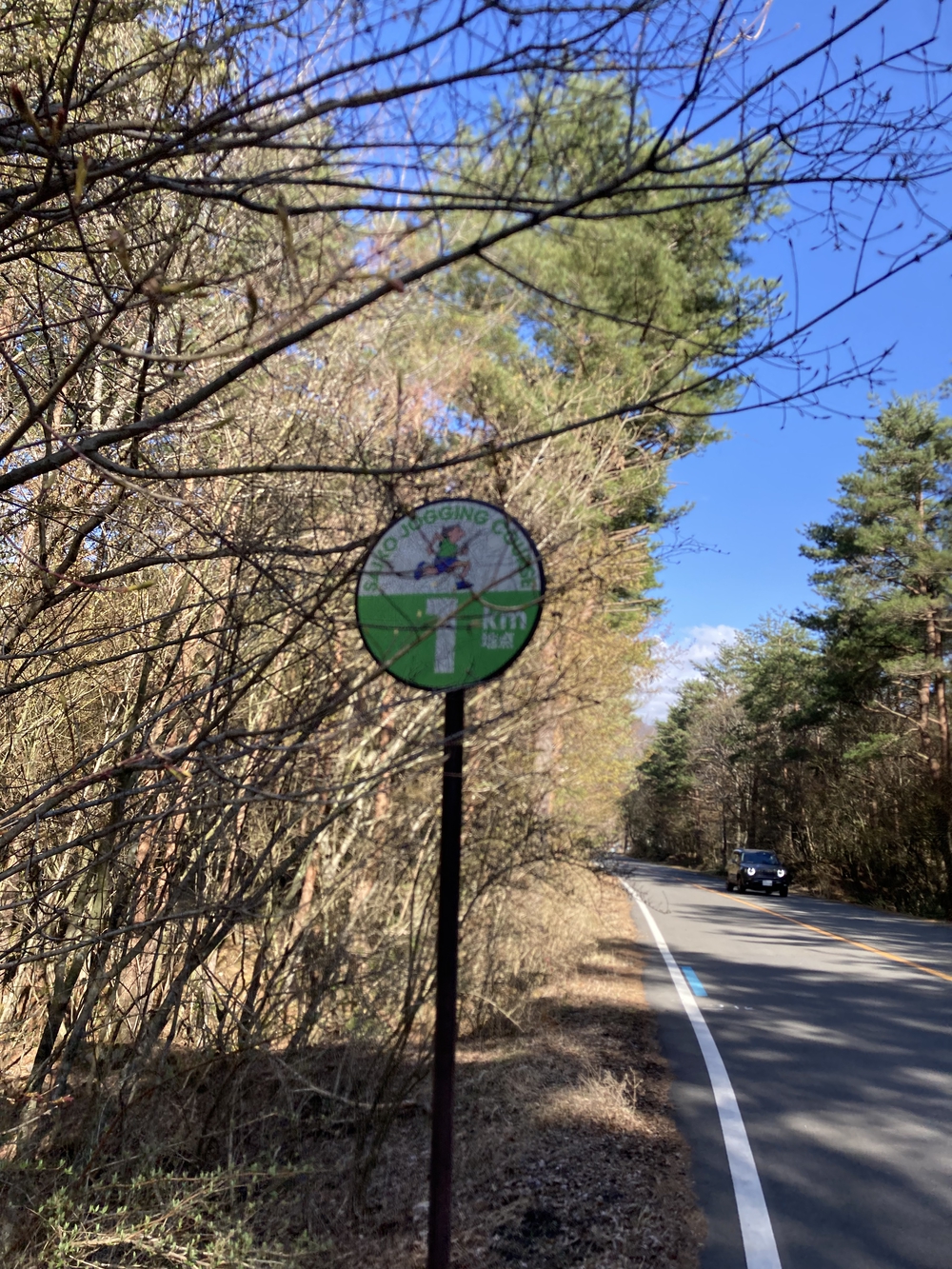富士五湖の１つ、西湖の湖畔をぐるりと一周！西湖畔ランニング！の写真8