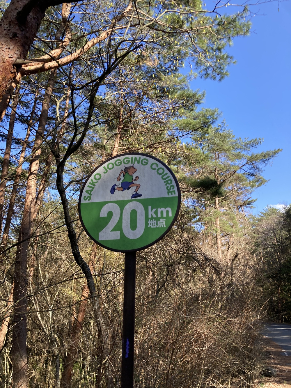 富士五湖の１つ、西湖の湖畔をぐるりと一周！西湖畔ランニング！の写真10