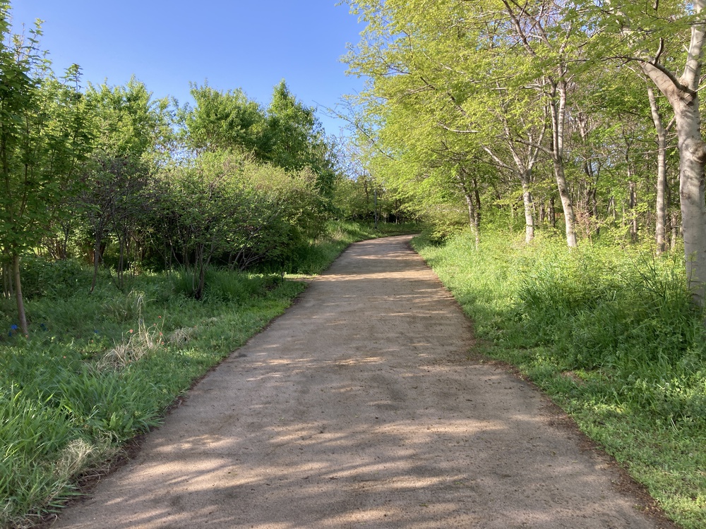 4/19公開『尼ロック』なぎさロードラン【7ｋｍ】出会い橋～中堀運河～尼崎の森～西堀運河の写真13