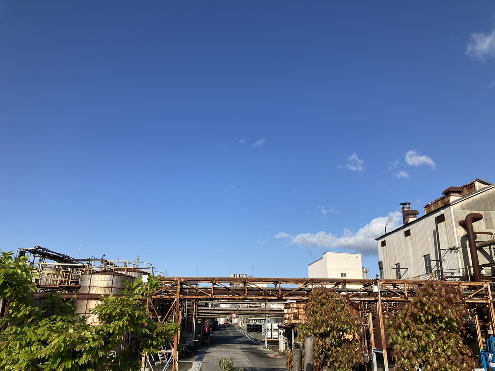 4/19公開『尼ロック』なぎさロードラン【7ｋｍ】出会い橋～中堀運河～尼崎の森～西堀運河の写真18