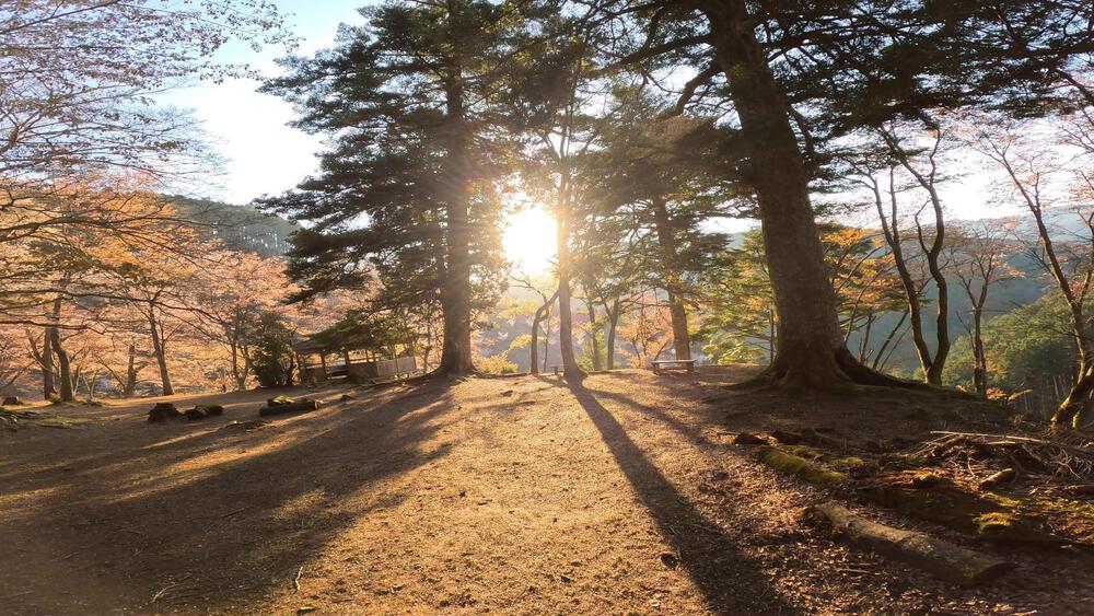吉野山千本桜巡りの写真5