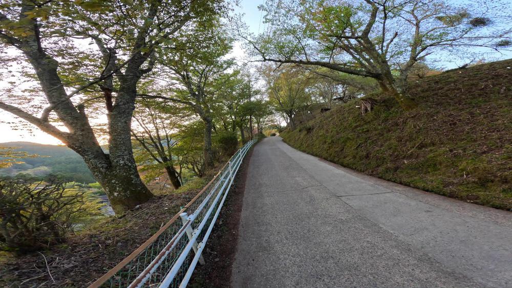 吉野山千本桜巡りの写真7