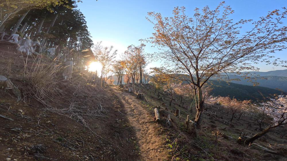 吉野山千本桜巡りの写真8