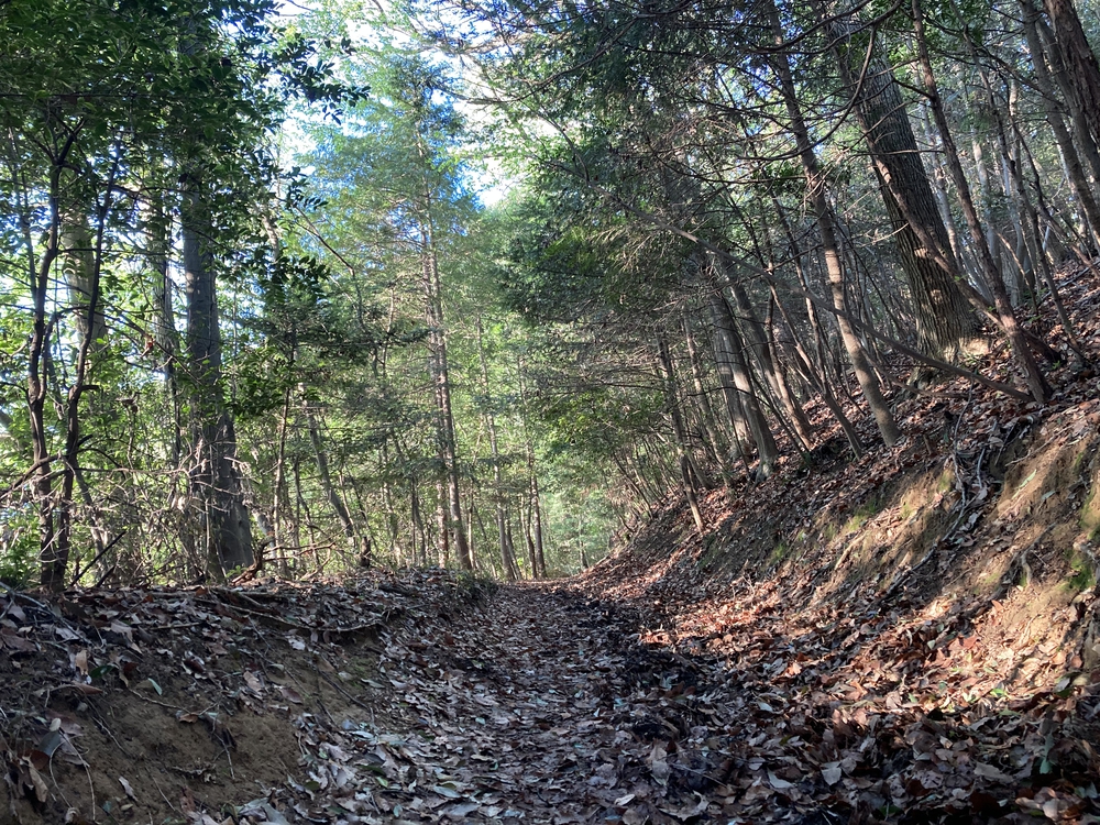 青梅の里山「赤ぼっこ」を周回の写真4