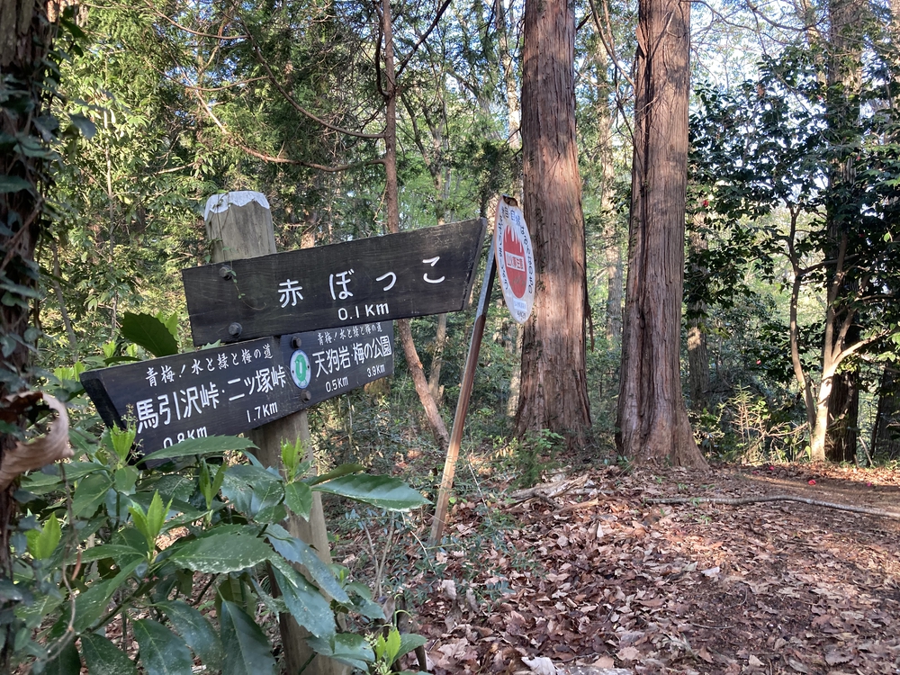 青梅の里山「赤ぼっこ」を周回の写真5