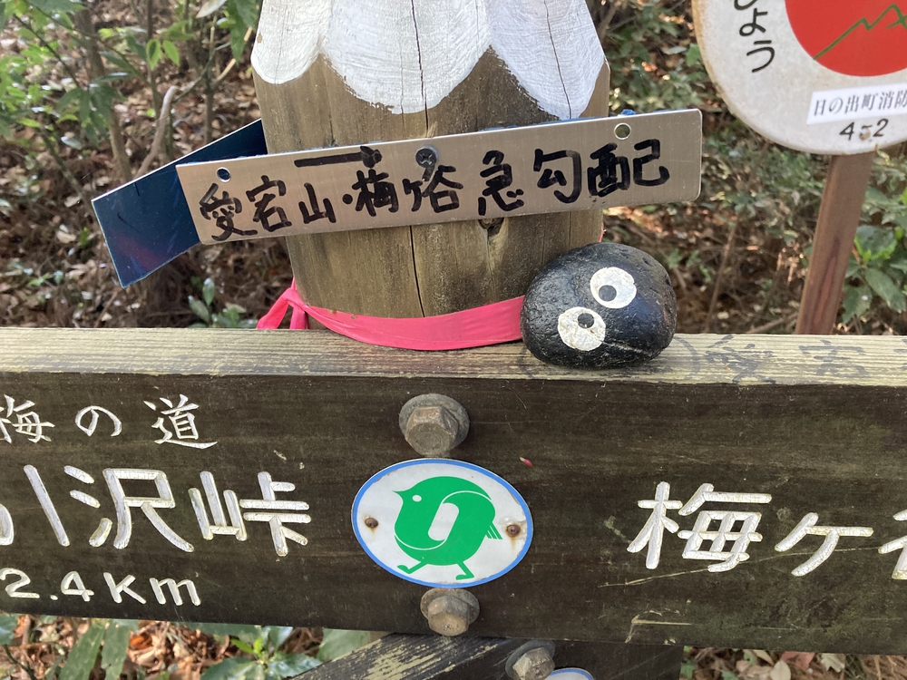 青梅の里山「赤ぼっこ」を周回の写真8