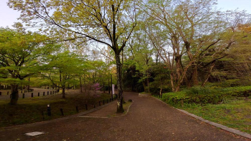 馬見丘陵公園チューリップフェスティバルコースの写真3