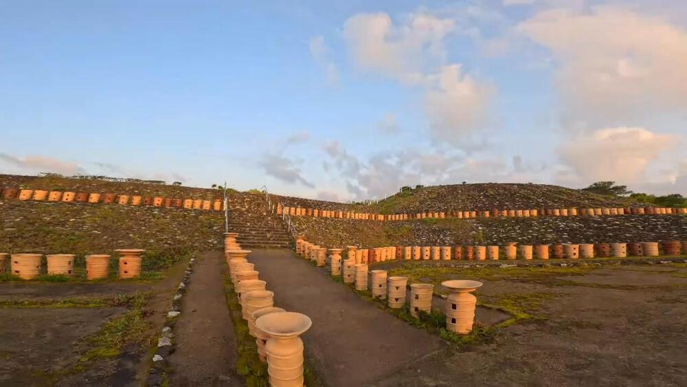 馬見丘陵公園チューリップフェスティバルコースの写真5