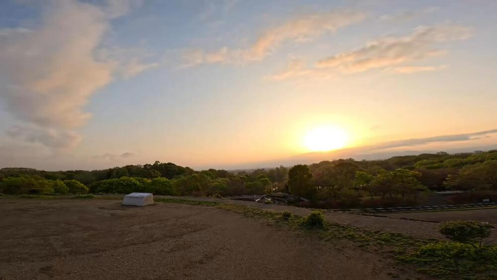 馬見丘陵公園チューリップフェスティバルコースの写真6