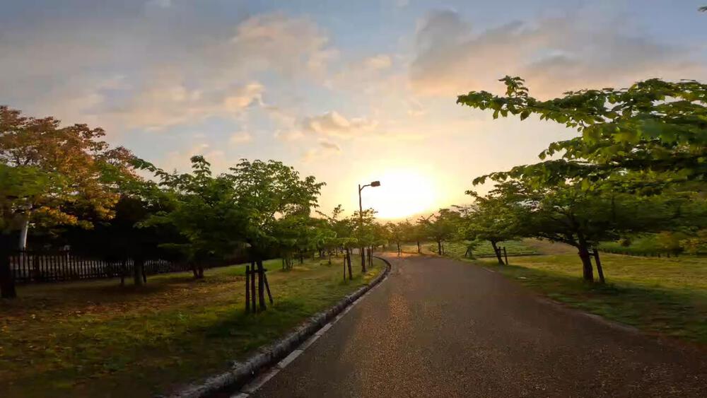 馬見丘陵公園チューリップフェスティバルコースの写真7