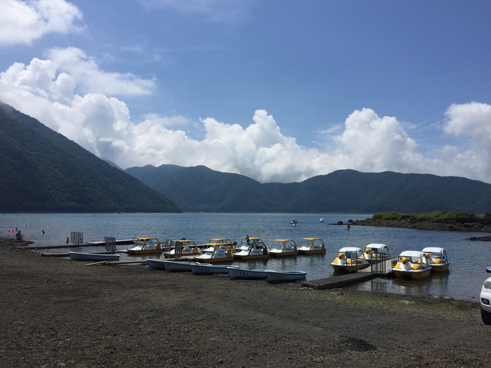 富士原生林トレイル 14㎞の写真4