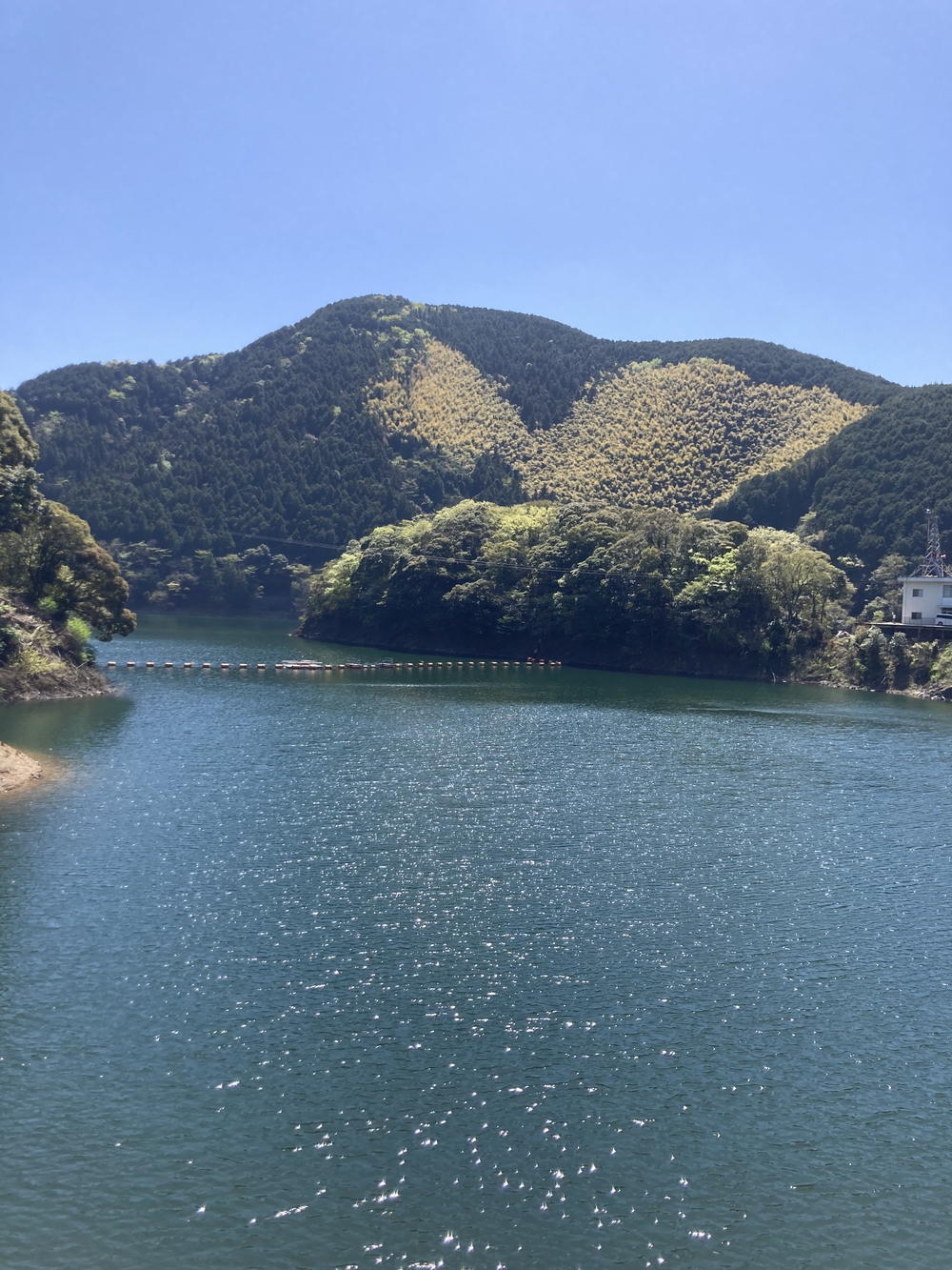 アップダウンの少ないコースです　力丸ダム右岸往復の写真3