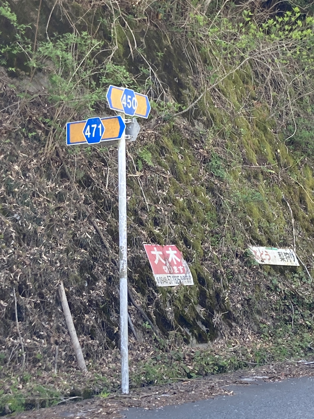 アップダウンの少ないコースです　力丸ダム右岸往復の写真4