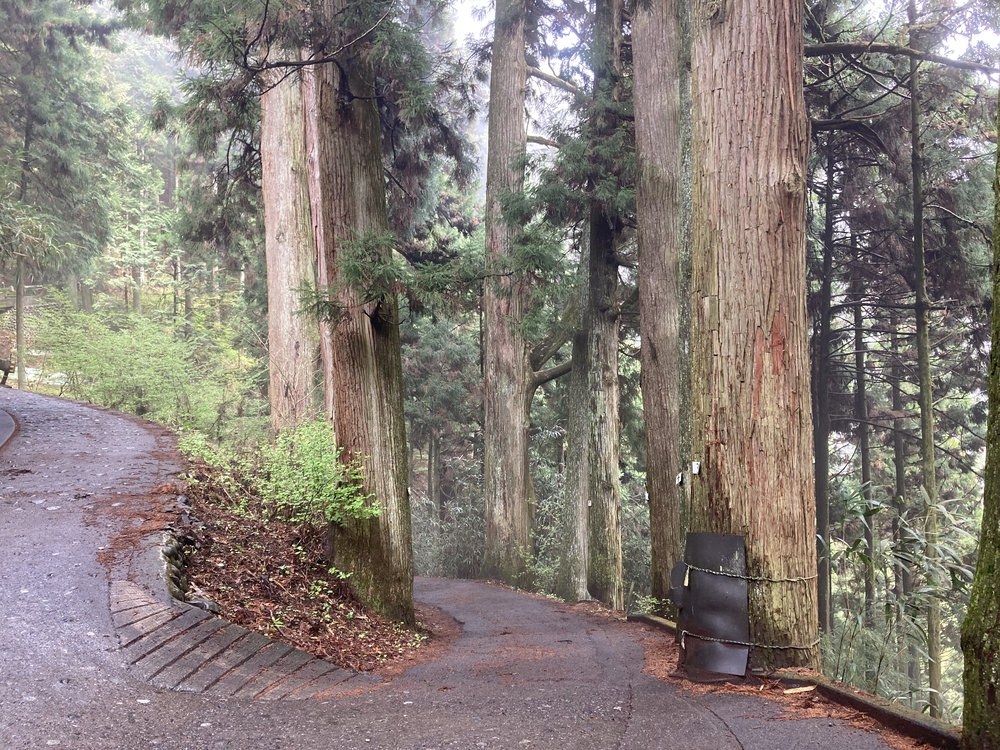LANI HEAD TRAILで雲海の日出山から御岳山への写真9