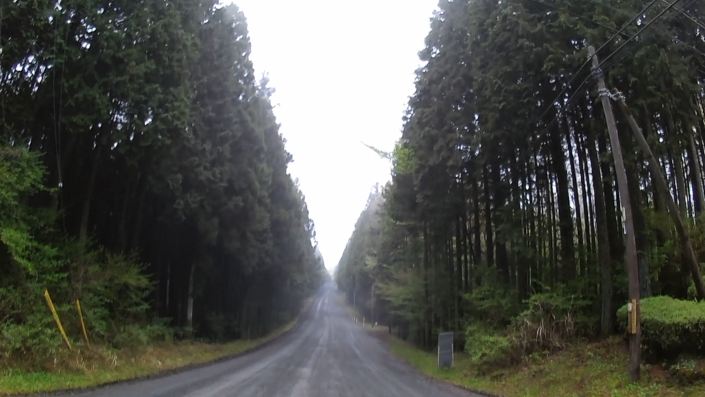 静岡県御殿場、「富士山樹空の森」から富士の裾野を１０キロの写真3