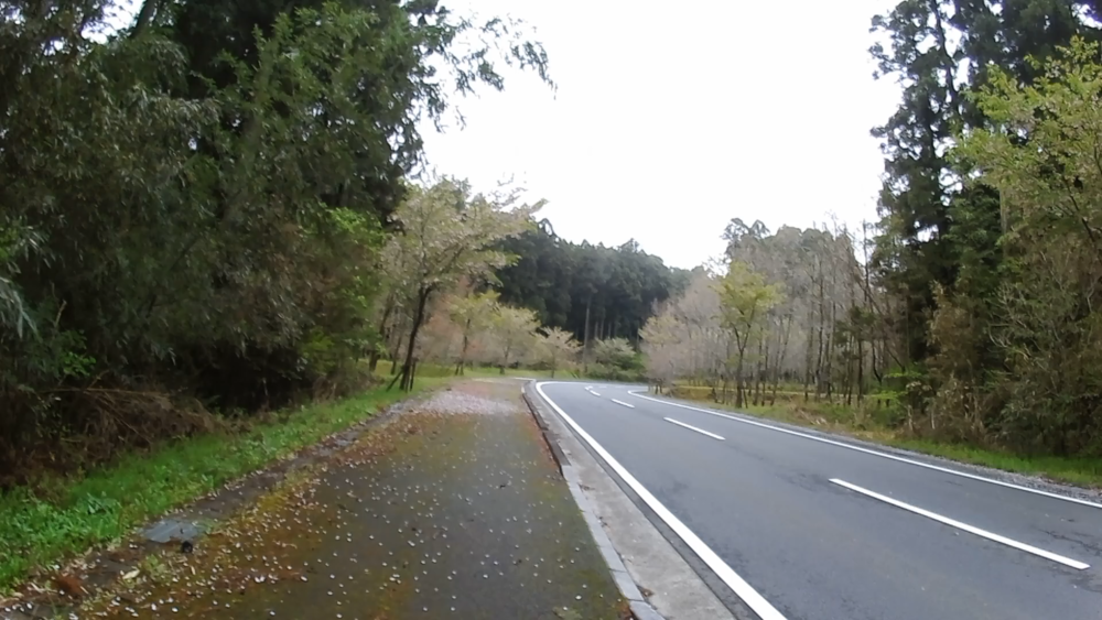 静岡県御殿場、「富士山樹空の森」から富士の裾野を１０キロの写真5