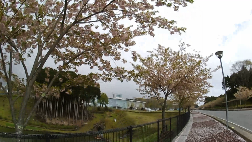 静岡県御殿場、「富士山樹空の森」から富士の裾野を１０キロの写真6