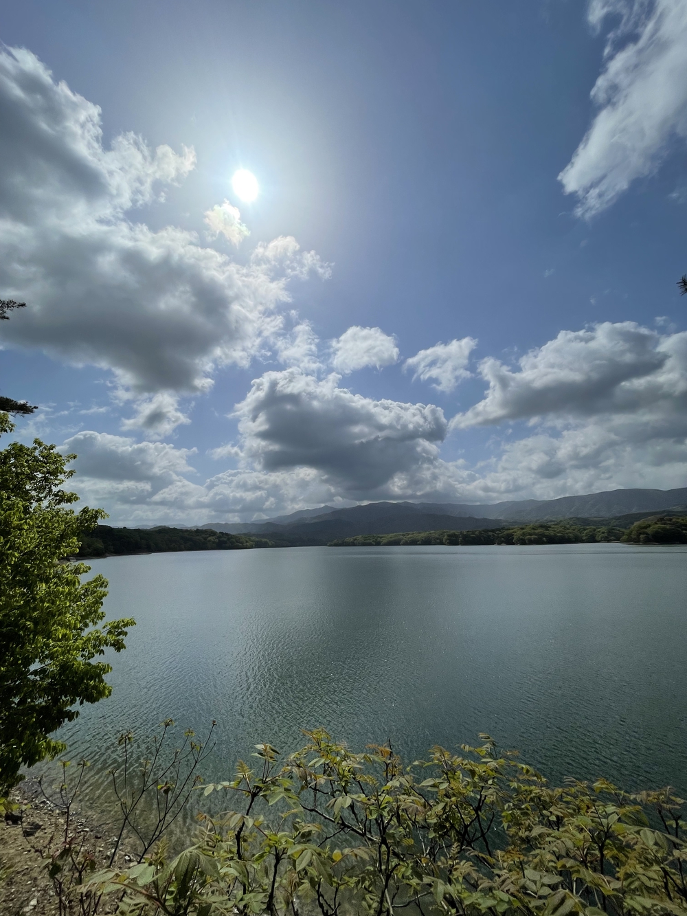 満濃池周遊道　お池の周りをボチボチと。の写真3