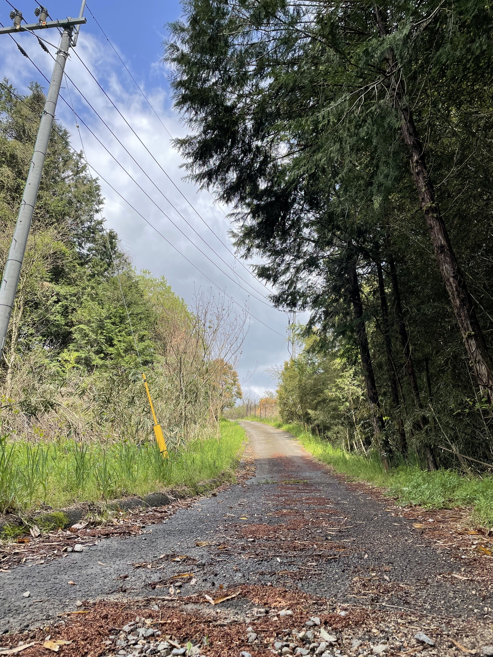 満濃池周遊道　お池の周りをボチボチと。の写真6